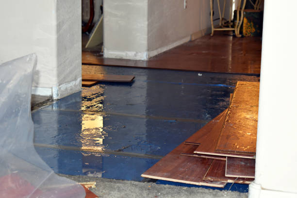 Professional Storm Water Damage Restoration technician working in Prairie Village, KS